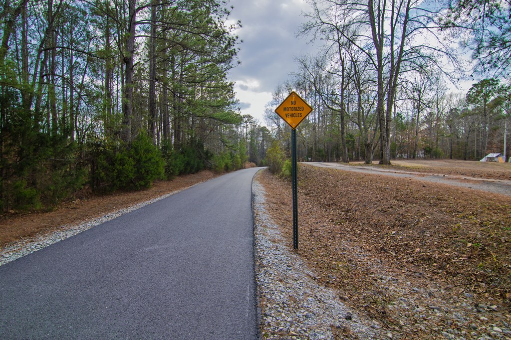 10933 Us Highway Hamilton, GA 31811 - Photo 40 of 44