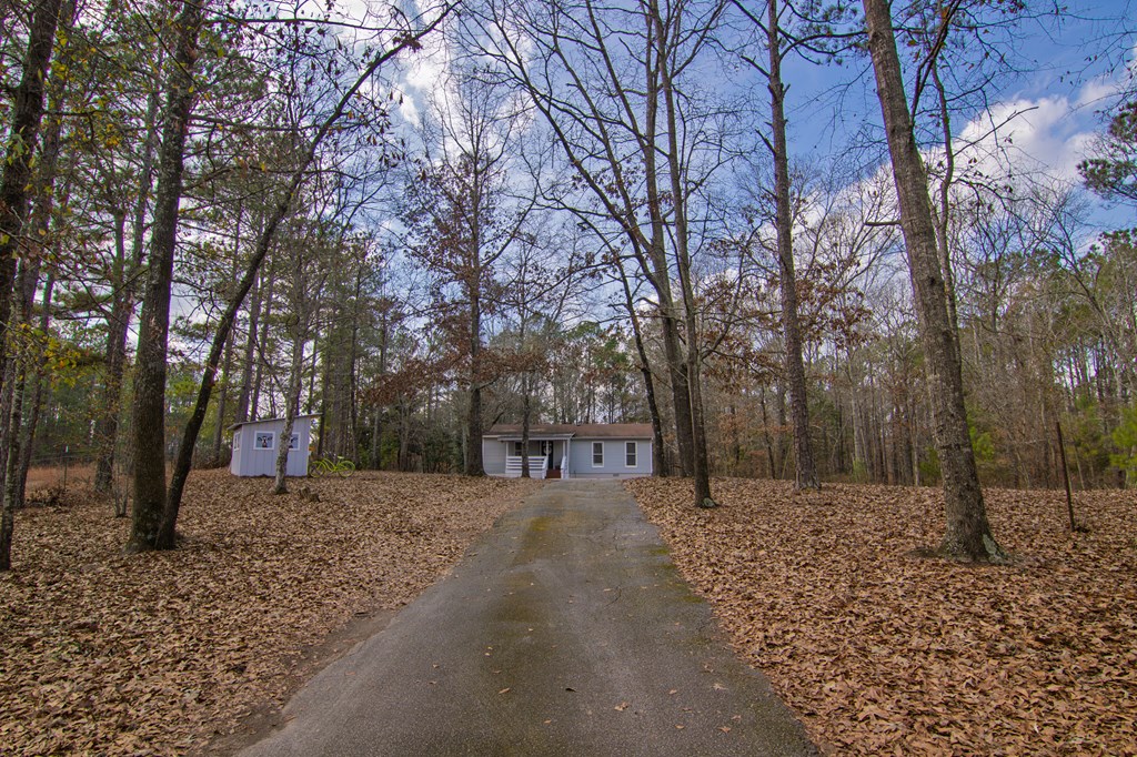10933 Us Highway Hamilton, GA 31811 - Photo 41 of 44 a house with trees in front of it