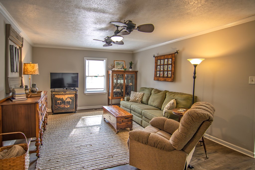 10933 Us Highway Hamilton, GA 31811 - Photo 9 of 44 a living room with furniture and a flat screen tv