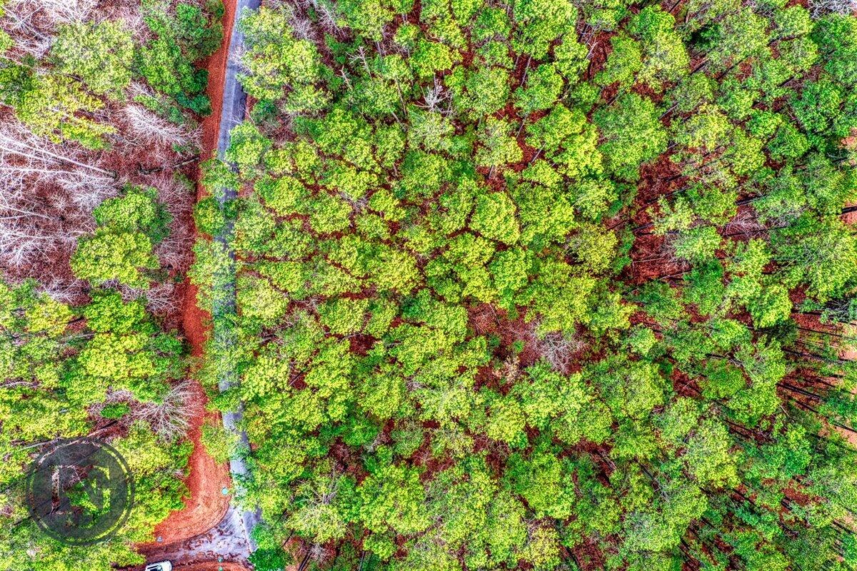 L7-b61 Rhett Drive McCormick, SC 29835 - Photo 5 of 11