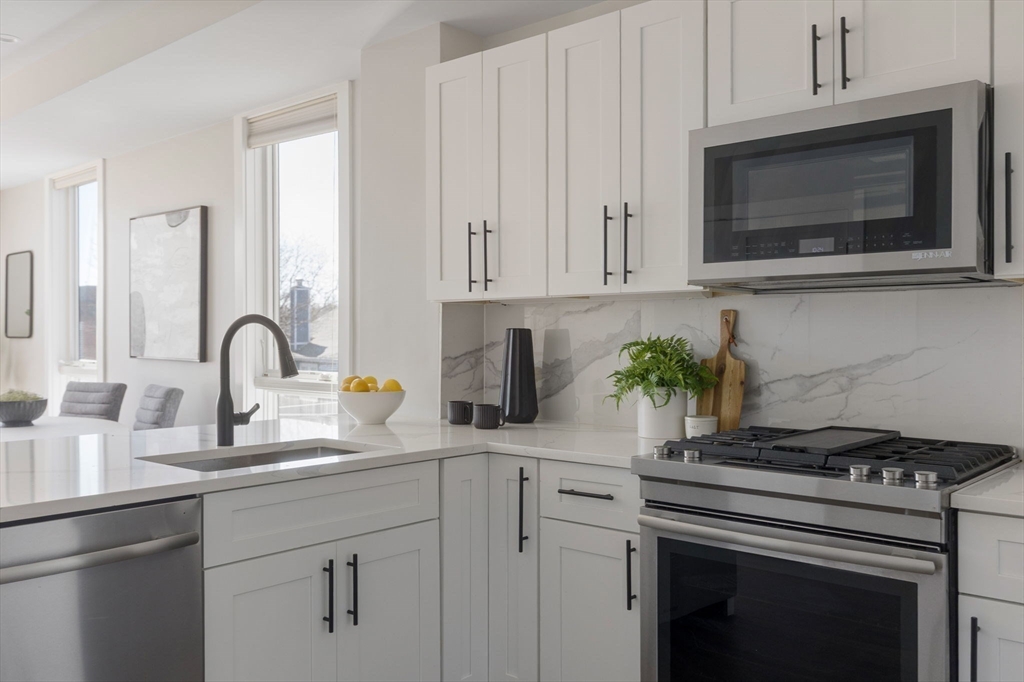 17 Chestnut Avenue, Unit 3 Boston, MA 02130 - Photo 2 of 17