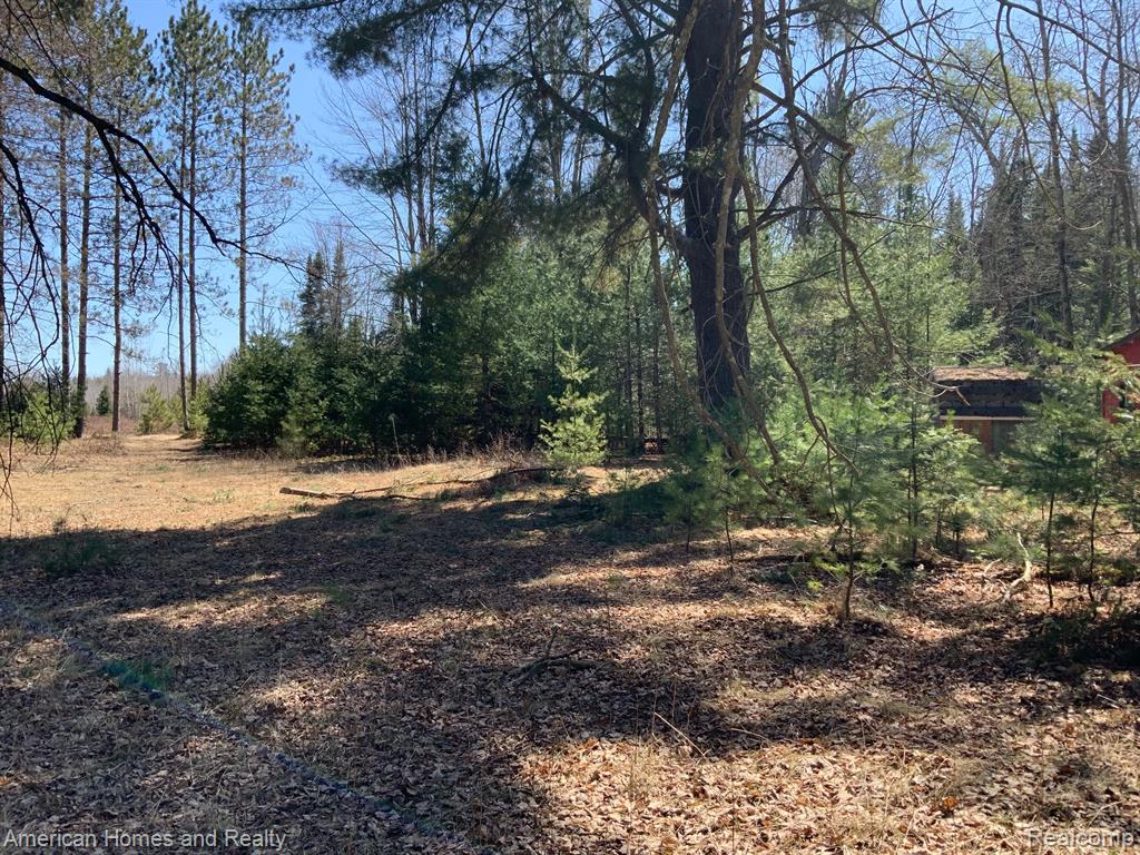 1908 Andrews Road Mikado, MI 48745 - Photo 10 of 12