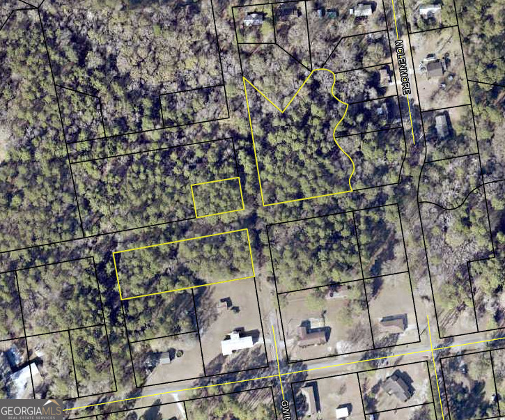 0 Mclemore Street Lyons, GA 30436 - Photo 1 of 1