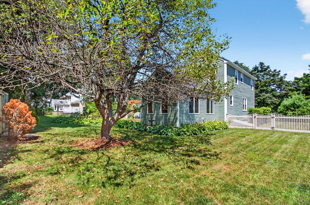 34 Timberline Road Millis, MA 02054 - Photo 36 of 42 a view of a yard with plants and trees
