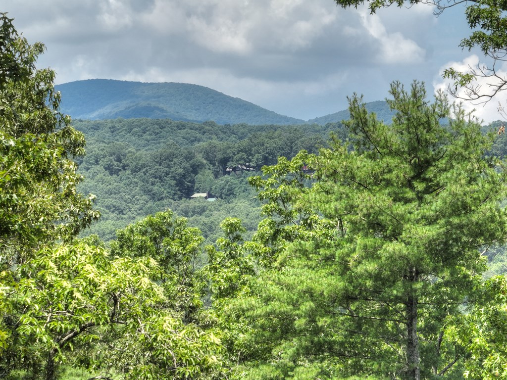 28 Aska Frst Trail Blue Ridge, GA 30513 - Photo 4 of 49