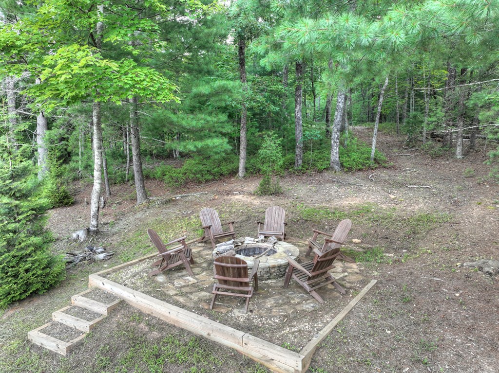 28 Aska Frst Trail Blue Ridge, GA 30513 - Photo 42 of 49