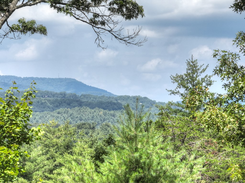 28 Aska Frst Trail Blue Ridge, GA 30513 - Photo 45 of 49