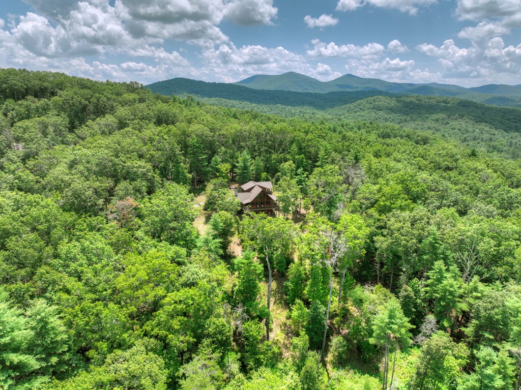 28 Aska Frst Trail Blue Ridge, GA 30513 - Photo 48 of 49