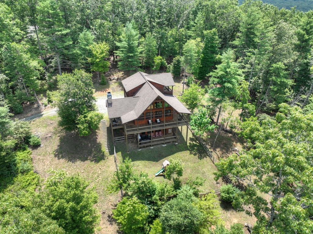 28 Aska Frst Trail Blue Ridge, GA 30513 - Photo 50 of 50 Gallery Image 50