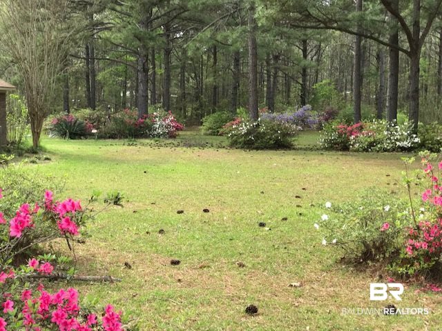 221 Scott Road Brewton, AL 36426 - Photo 18 of 18 Yard