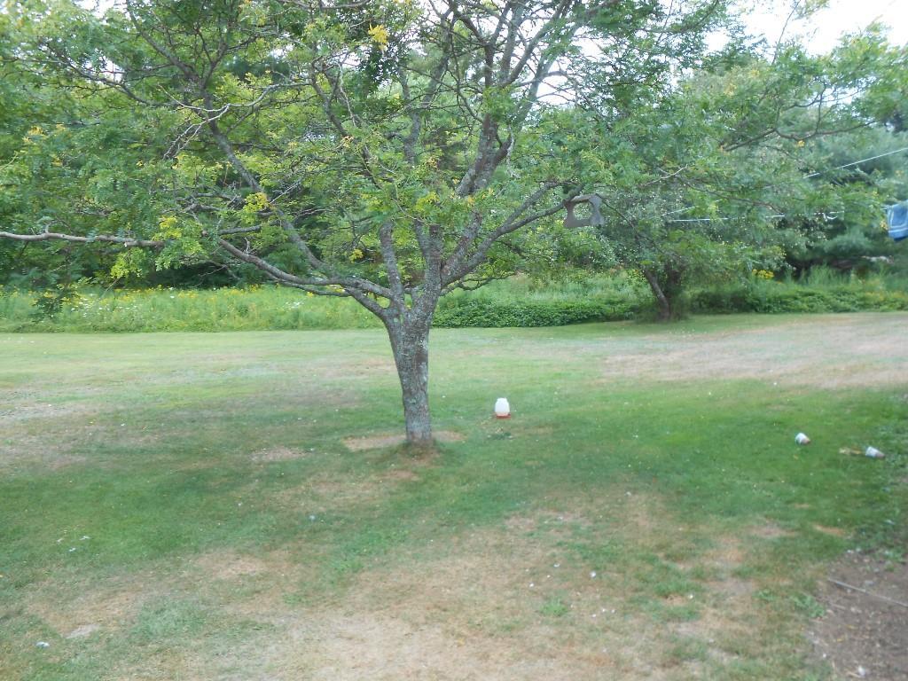 10 Timber Point Road Friendship, ME 04547 - Photo 15 of 20 Photo