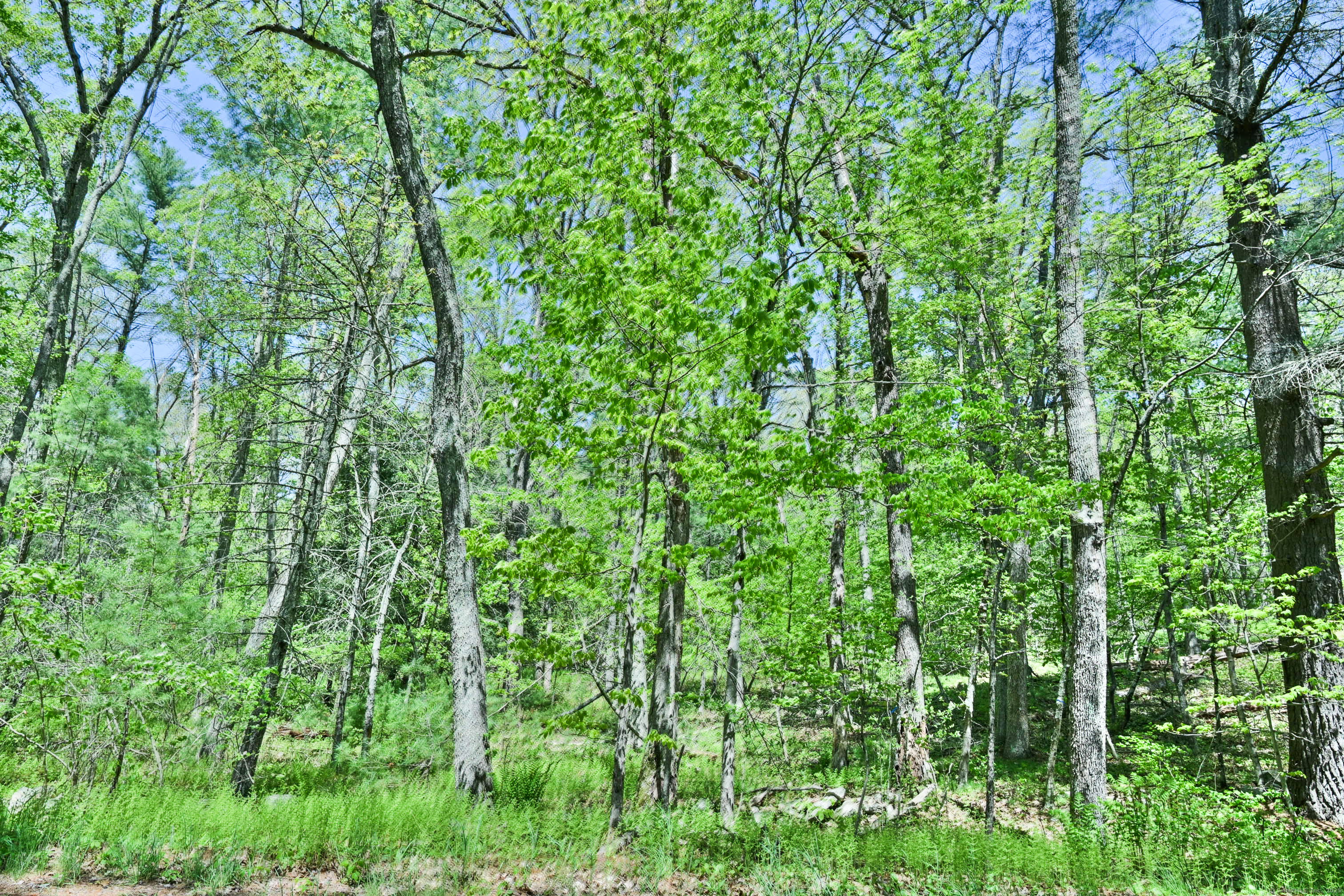 5 5 Mile River Road Putnam, CT 06260 - Photo 1 of 1
