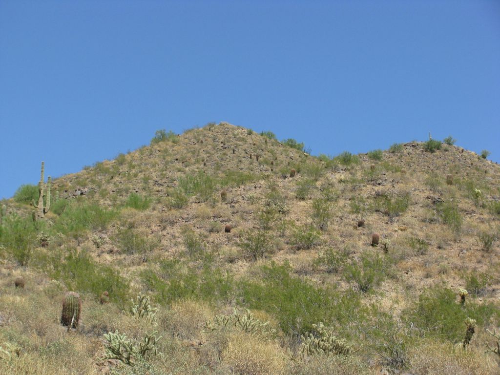 700 East Quartz Rock Road Phoenix, AZ 85085 - Photo 1 of 12 700 Quartz Rock 1