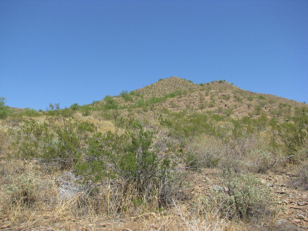 700 East Quartz Rock Road Phoenix, AZ 85085 - Photo 4 of 12 700 Quartz Rock 4