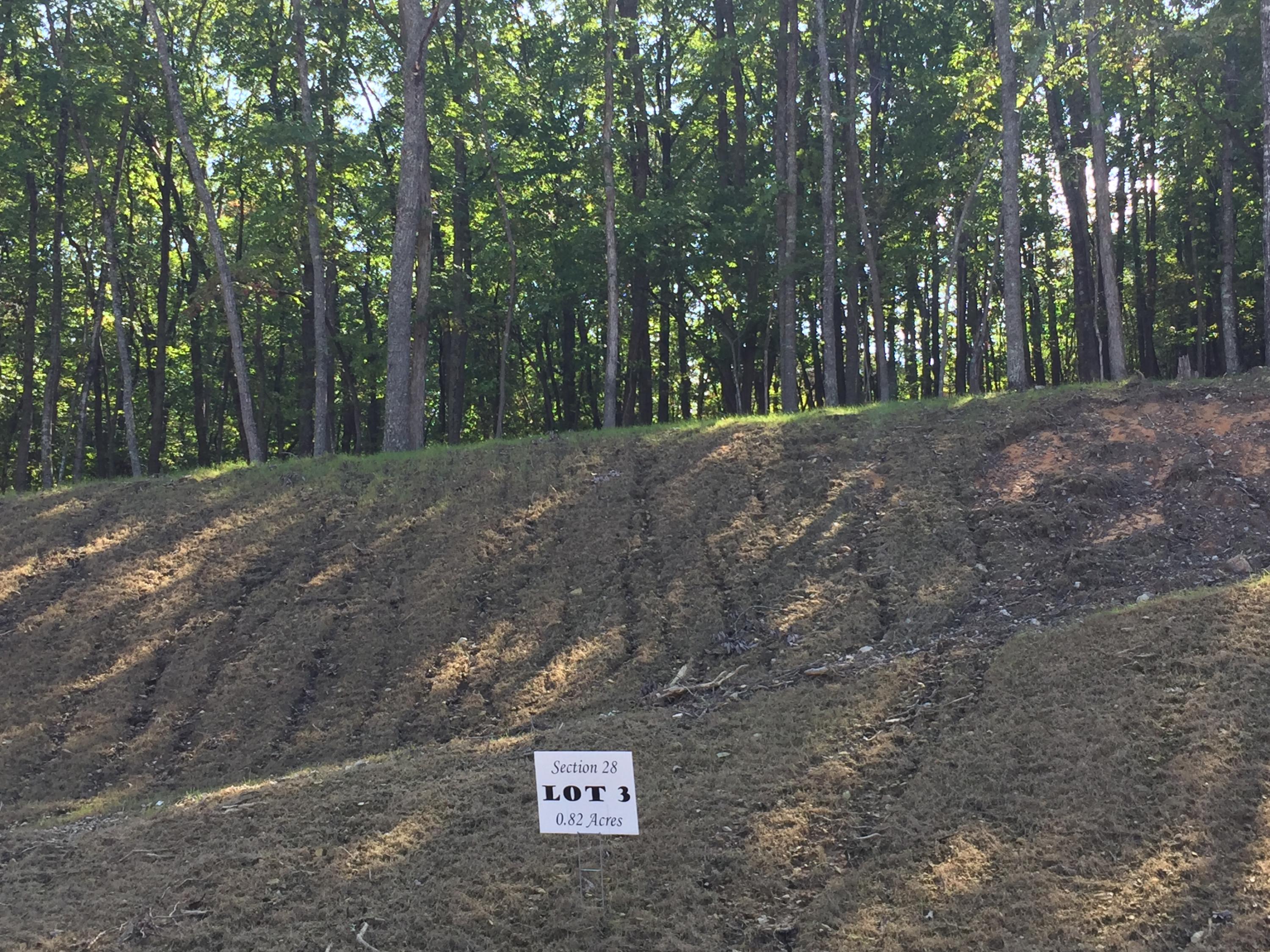 5554 Hunt Camp Road Roanoke, VA 24018 - Photo 1 of 14 Road View