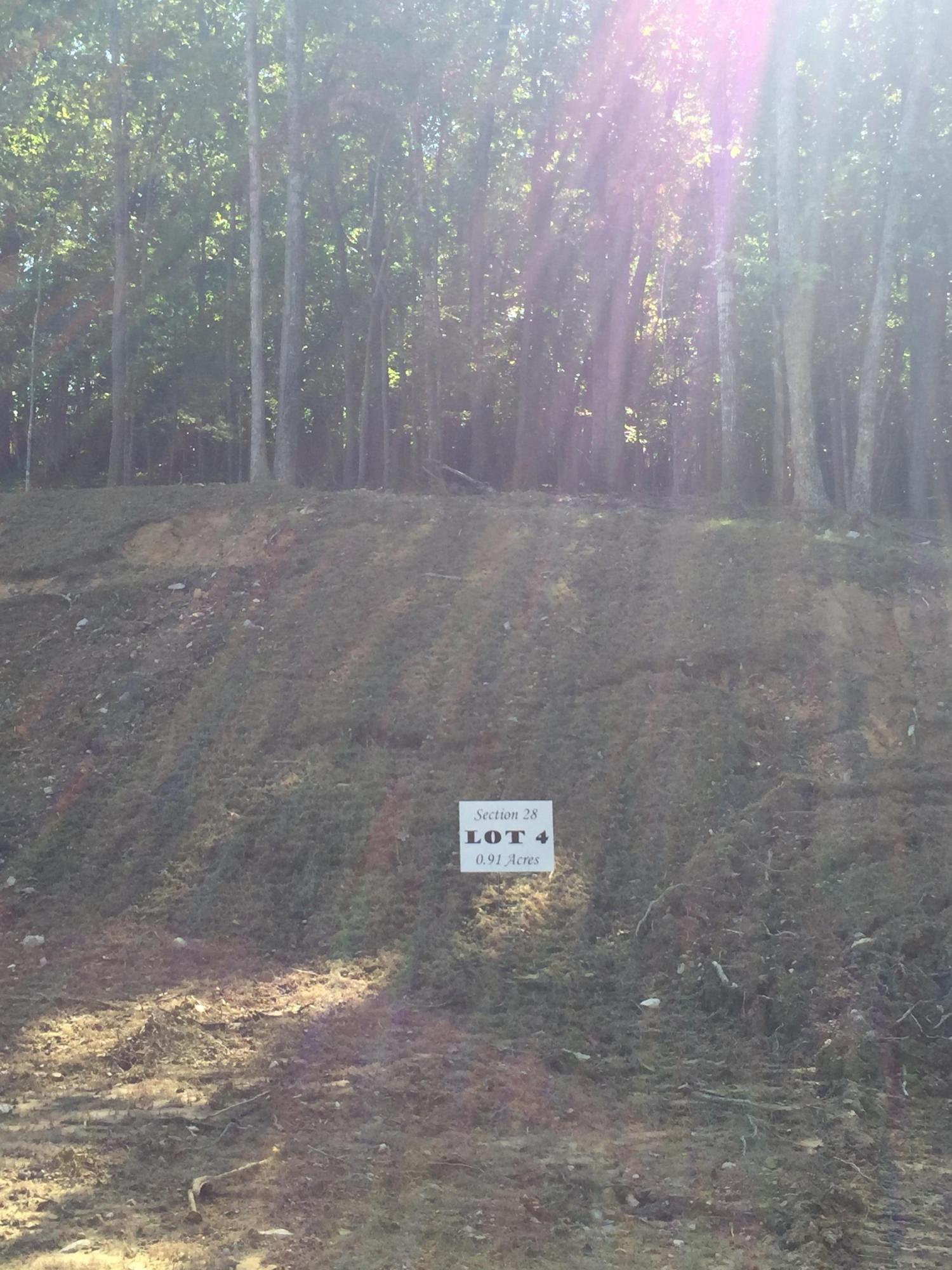 5554 Hunt Camp Road Roanoke, VA 24018 - Photo 3 of 14 Road View