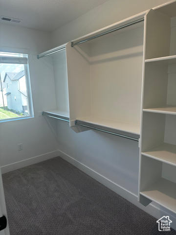22 South Starlight Lane Mapleton, UT 84664 - Photo 8 of 17 Walk in closet with carpet floors