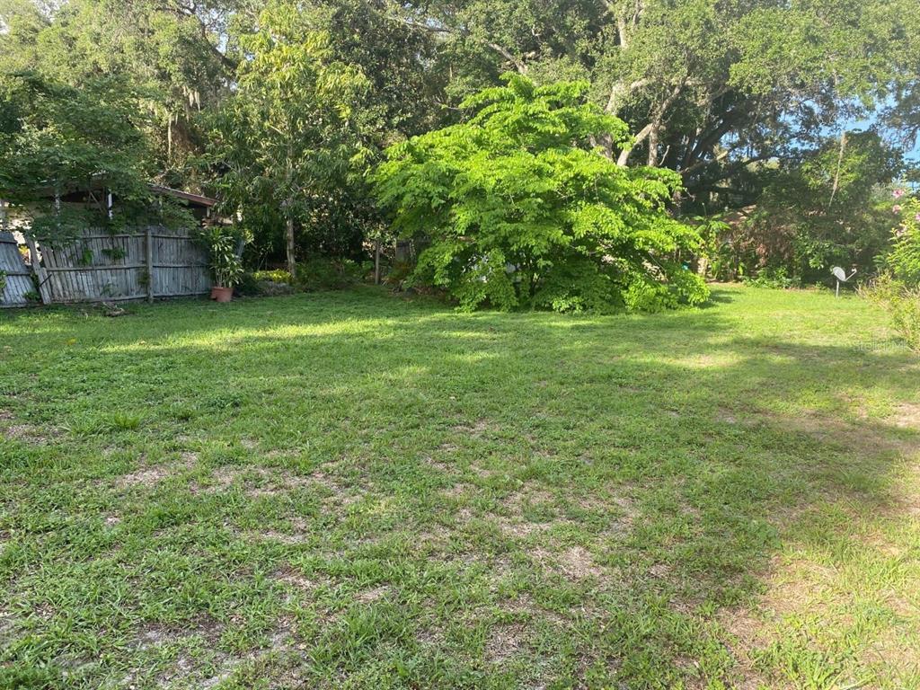 a view of a yard with a tree