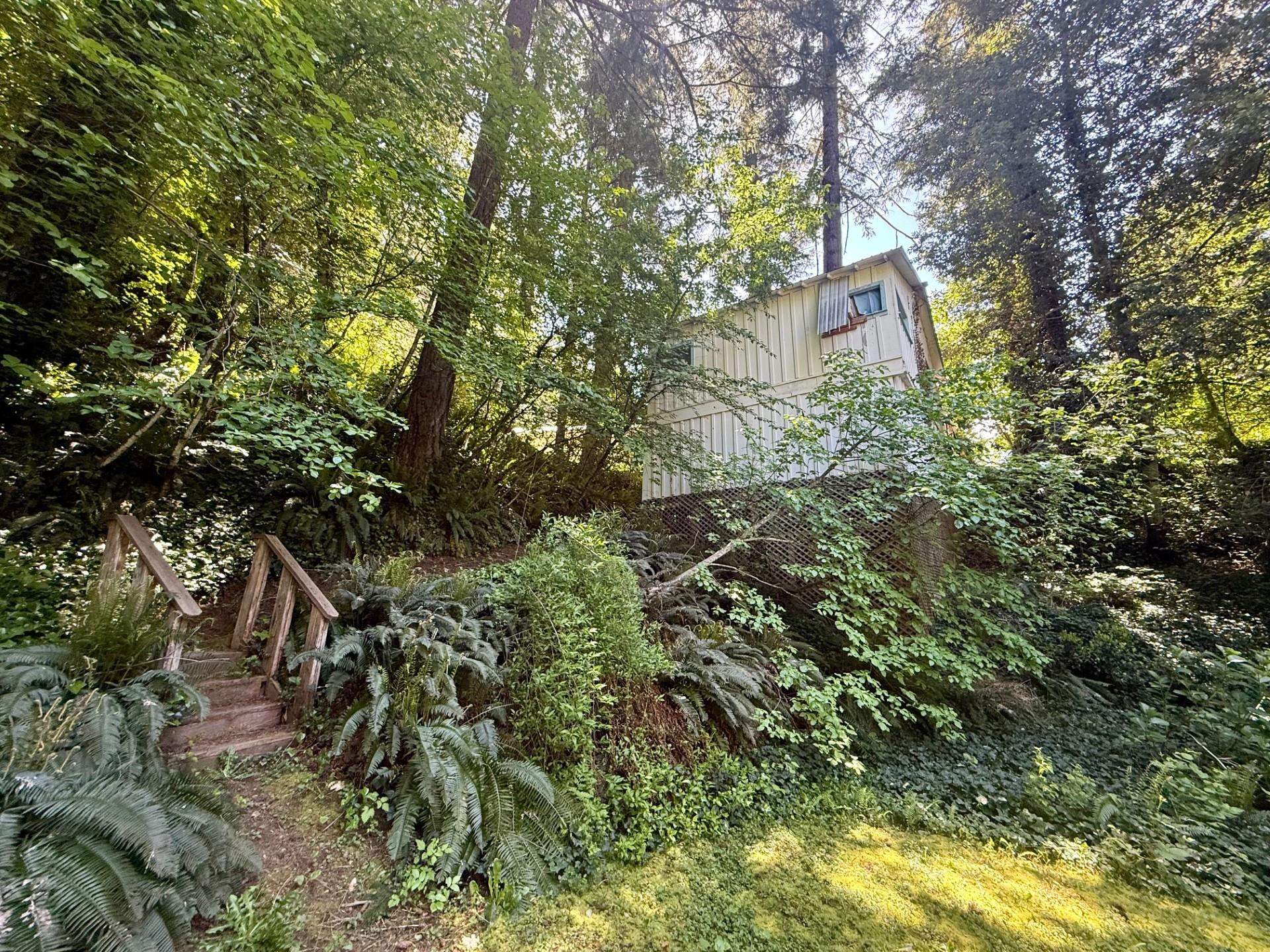 814 Curly Jack Road Happy Camp, CA 96039 - Photo 41 of 49 Gallery Image 41