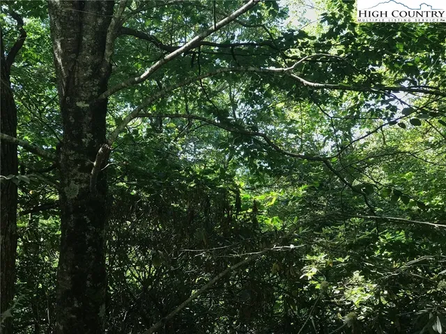 $30,000 | Benjamin Drive, Boone, NC 28607