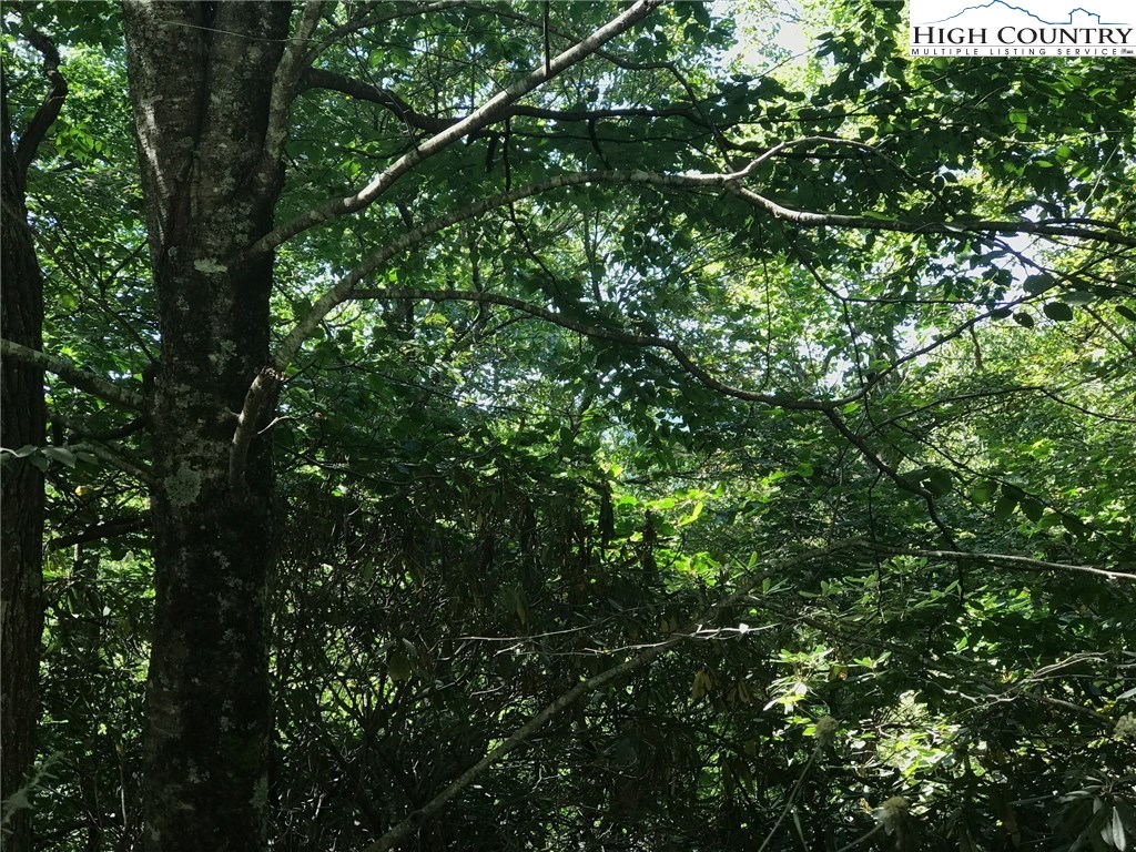 Benjamin Drive Boone, NC 28607 - Photo 1 of 5