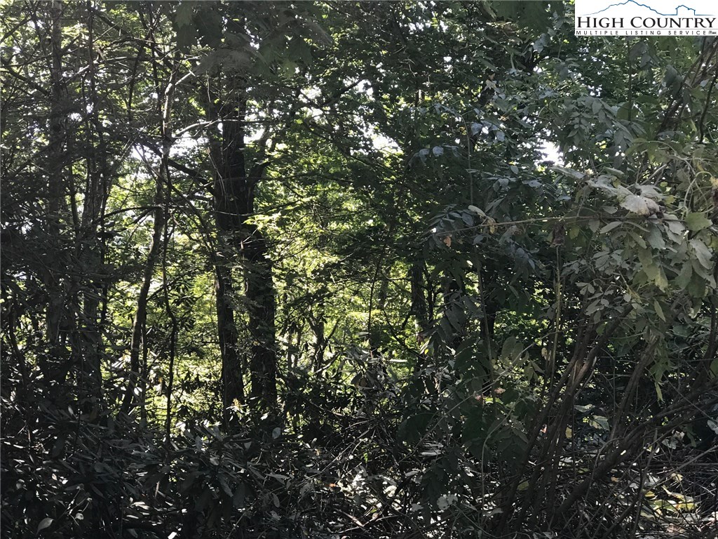 Benjamin Drive Boone, NC 28607 - Photo 2 of 5