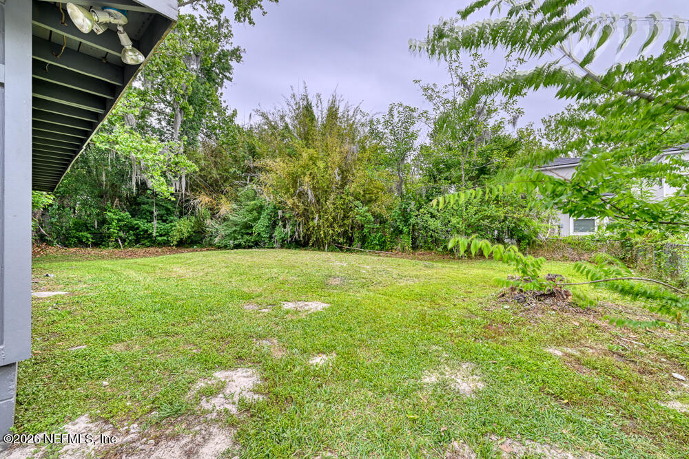1339 Ellis Road South Jacksonville, FL 32205 - Photo 14 of 26 Back Yard - View 1