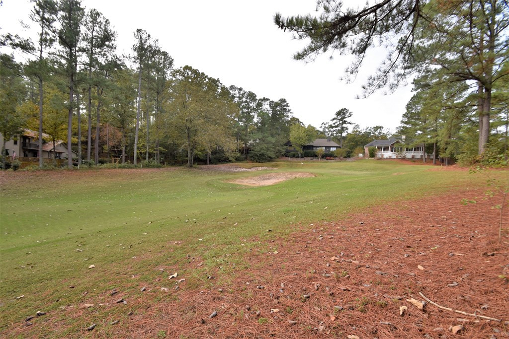 109 Laurel Ridge Circle Aiken, SC 29803 - Photo 54 of 60 Gallery Image 54