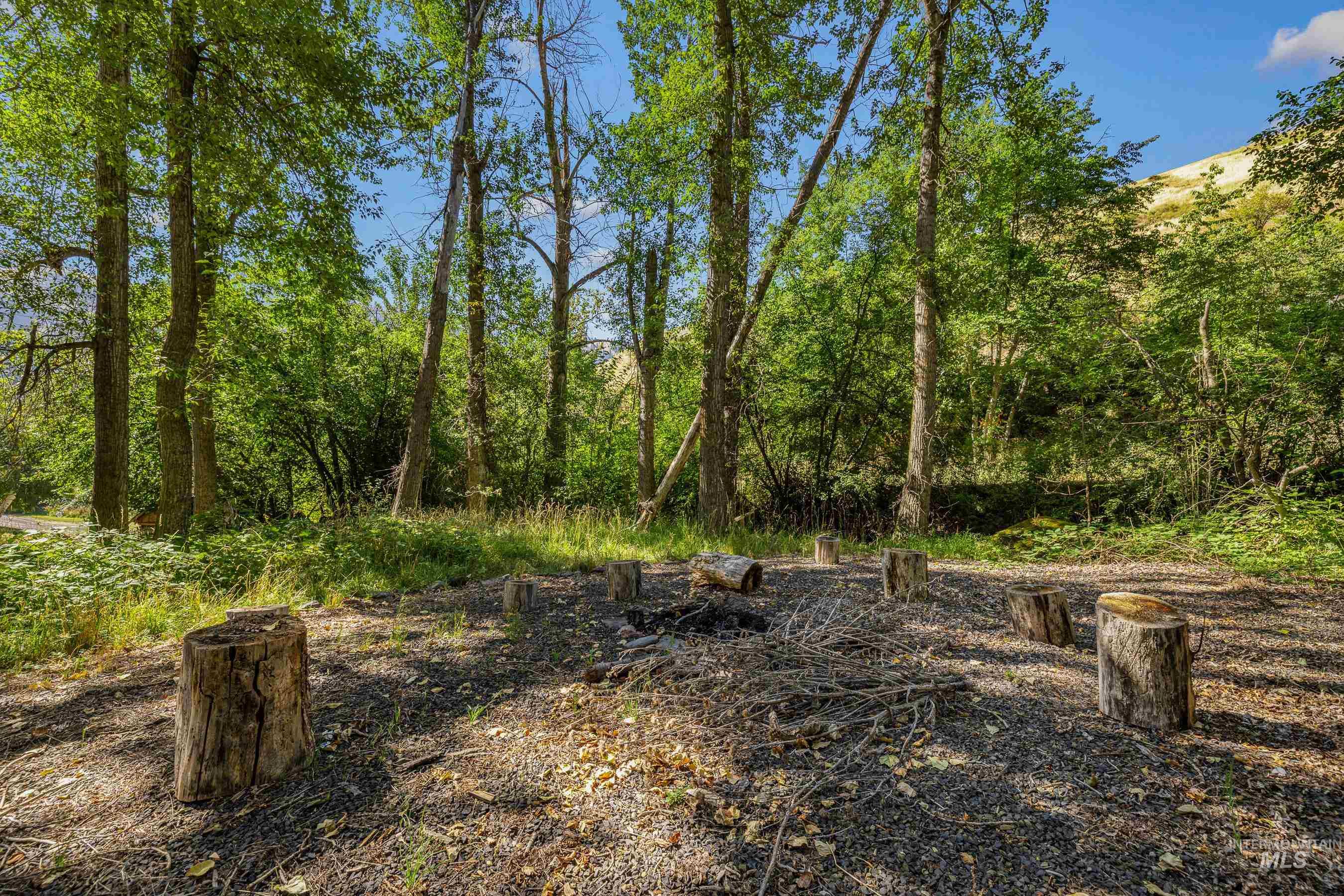 192 East Shingle Creek Road Riggins, ID 83549 - Photo 4 of 50 View of yard with a view of trees