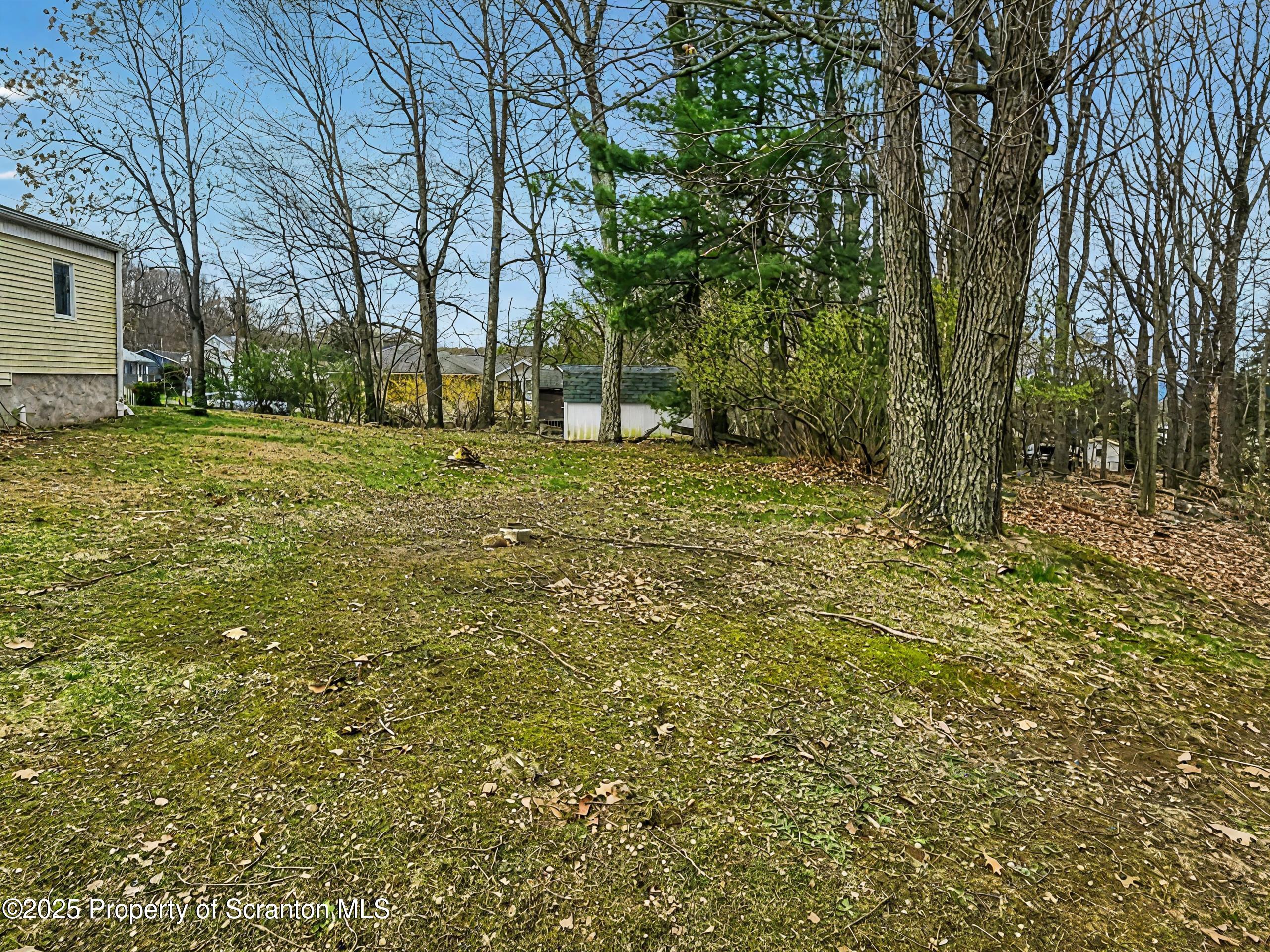 301 Seymour Avenue Scranton, PA 18505 - Photo 20 of 23 Yard