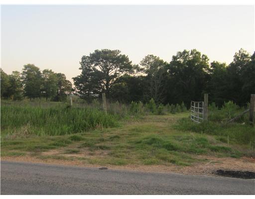 Nkn Dickerson Sawmill Road Lucedale, MS 39452 - Photo 4 of 6 Additional Photo