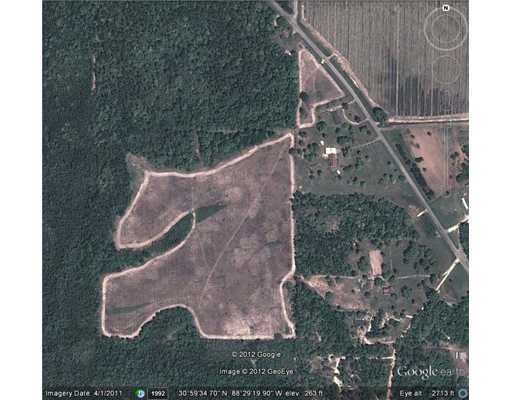 Nkn Dickerson Sawmill Road Lucedale, MS 39452 - Photo 6 of 6 Additional Photo