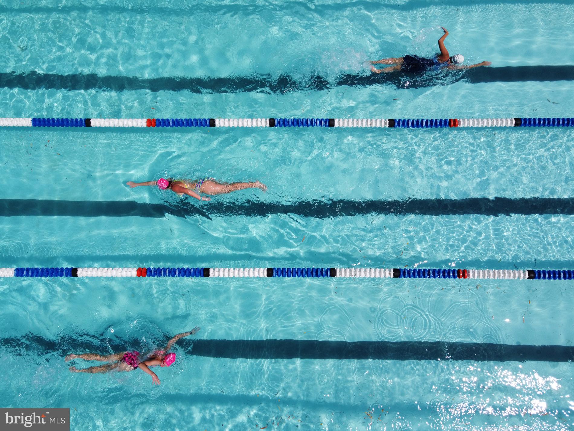 1815 John Stricker Avenue Baltimore, MD 21222 - Photo 42 of 46 a view of a garden with a lake