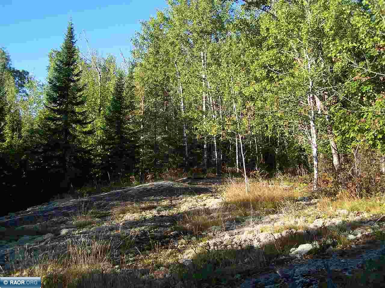 Tbd Burma Road Kabetogama, MN 56669 - Photo 10 of 15 Gallery Image 10