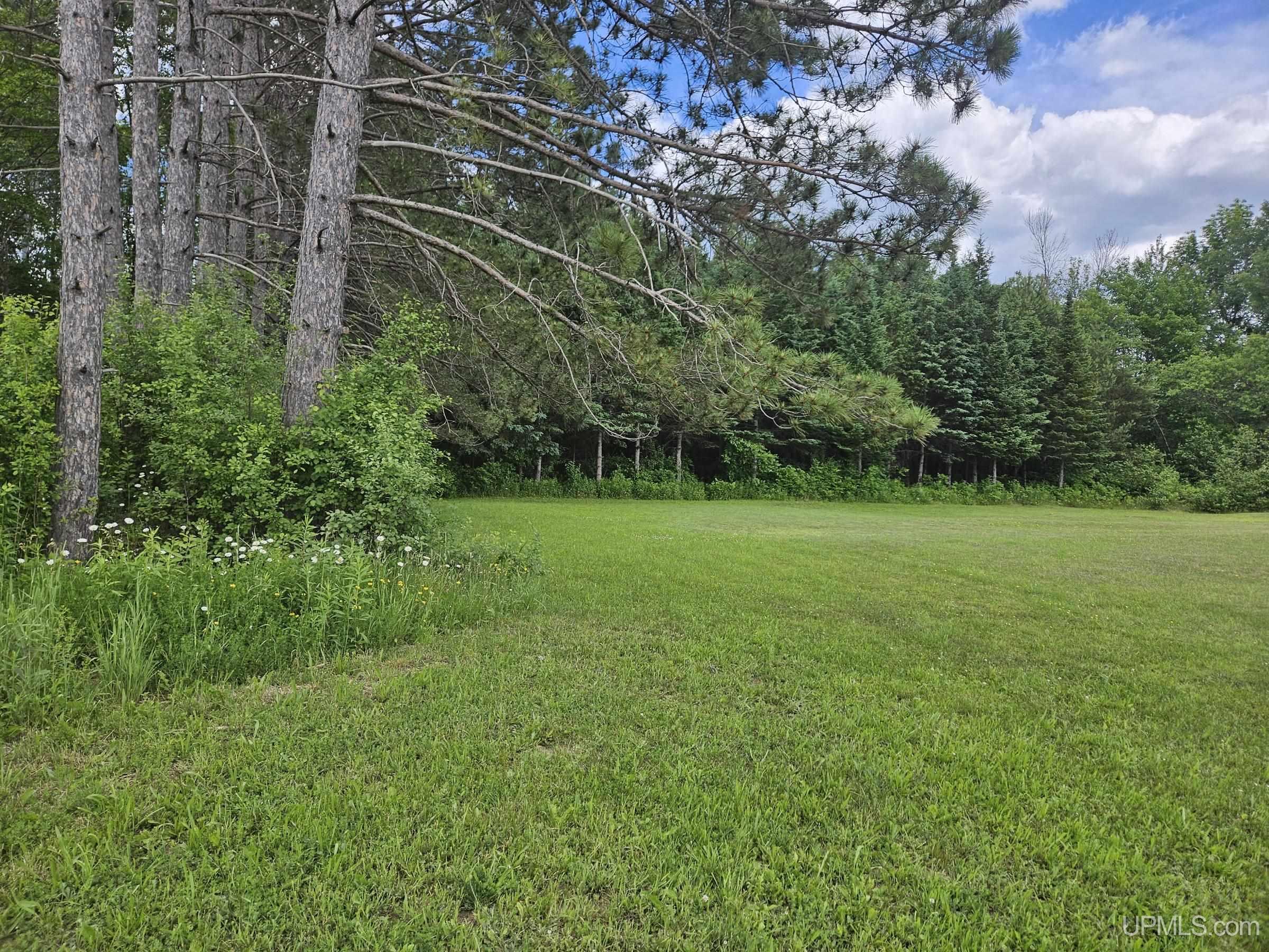 5.9-acres Jackson Road Ironwood, MI 49938 - Photo 4 of 12