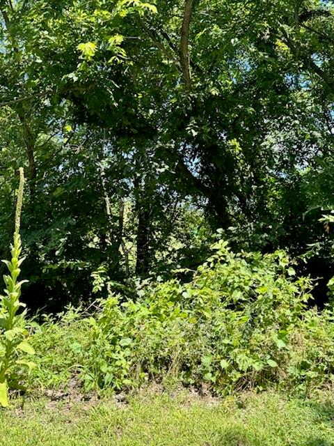 Indianapolis Road Osawatomie, KS 66064 - Photo 3 of 5