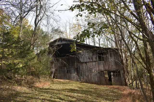 a backyard of a house with lots of trees