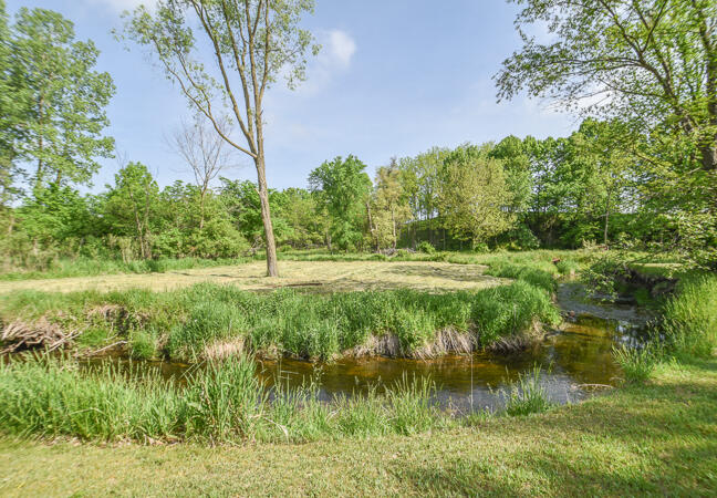 10000 Poats Road Montgomery, MI 49255 - Photo 4 of 65 DSC_1374