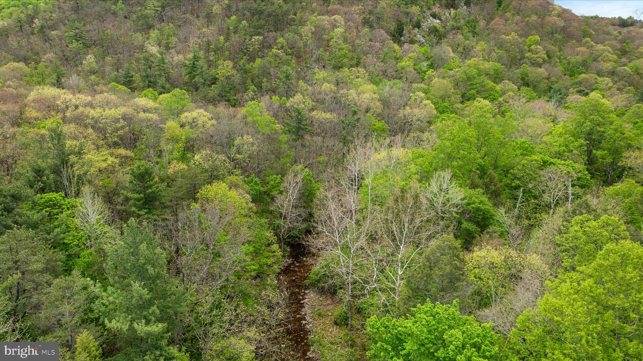 13581 Ford Hill Road Rio, WV 26755 - Photo 57 of 70 DJI_0448_13581 Ford hill Rd - Absolute Altitude -