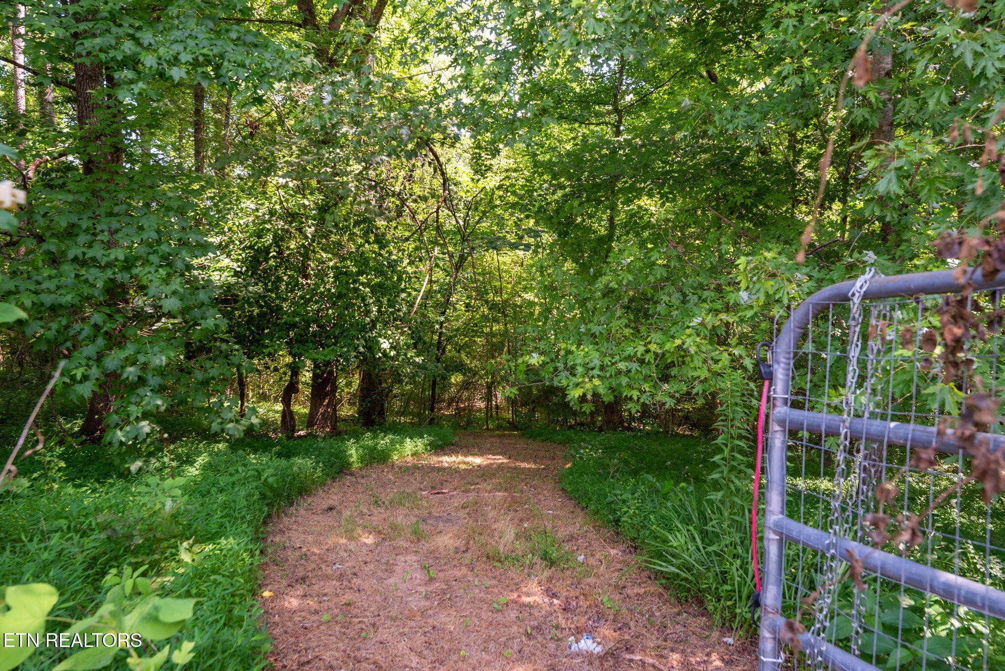 295 Barber Road Corryton, TN 37721 - Photo 40 of 43 Gallery Image 40