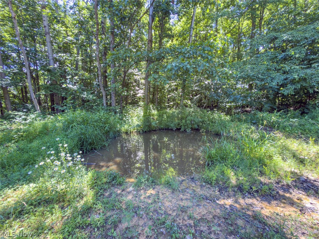 6985 Brush Run Road Cambridge, OH 43725 - Photo 29 of 50