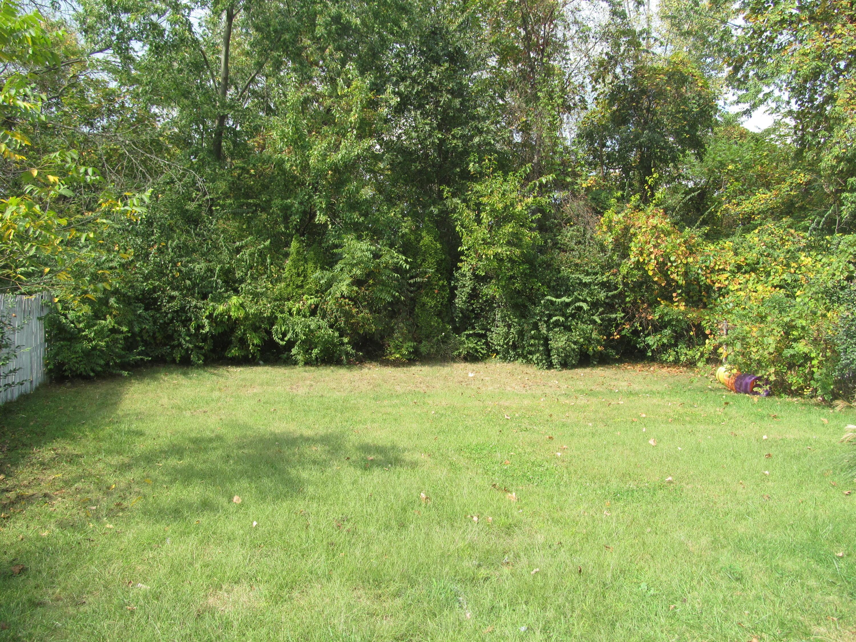 4503 Collingdale Road Columbus, OH 43231 - Photo 5 of 17 Gallery Image 5