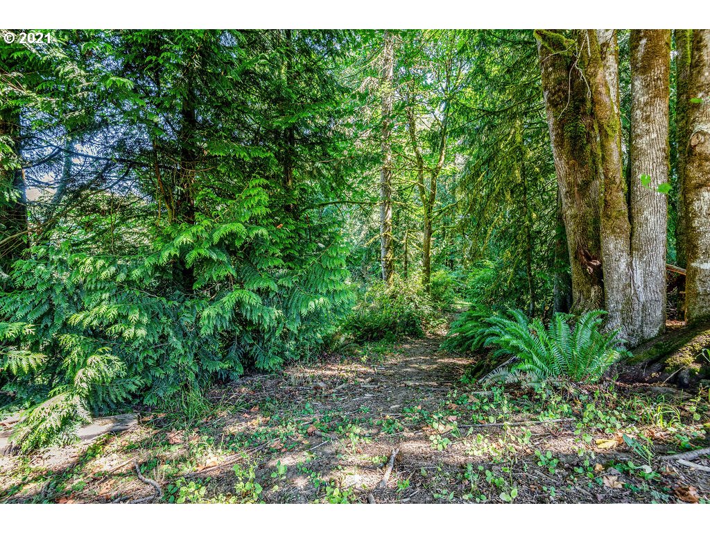 211 Walker Road Kelso, WA 98626 - Photo 31 of 32 Gallery Image 31