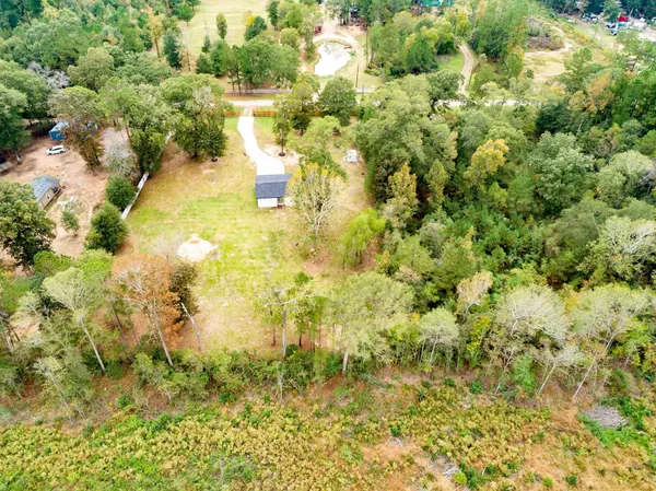 a view of a tree in a yard