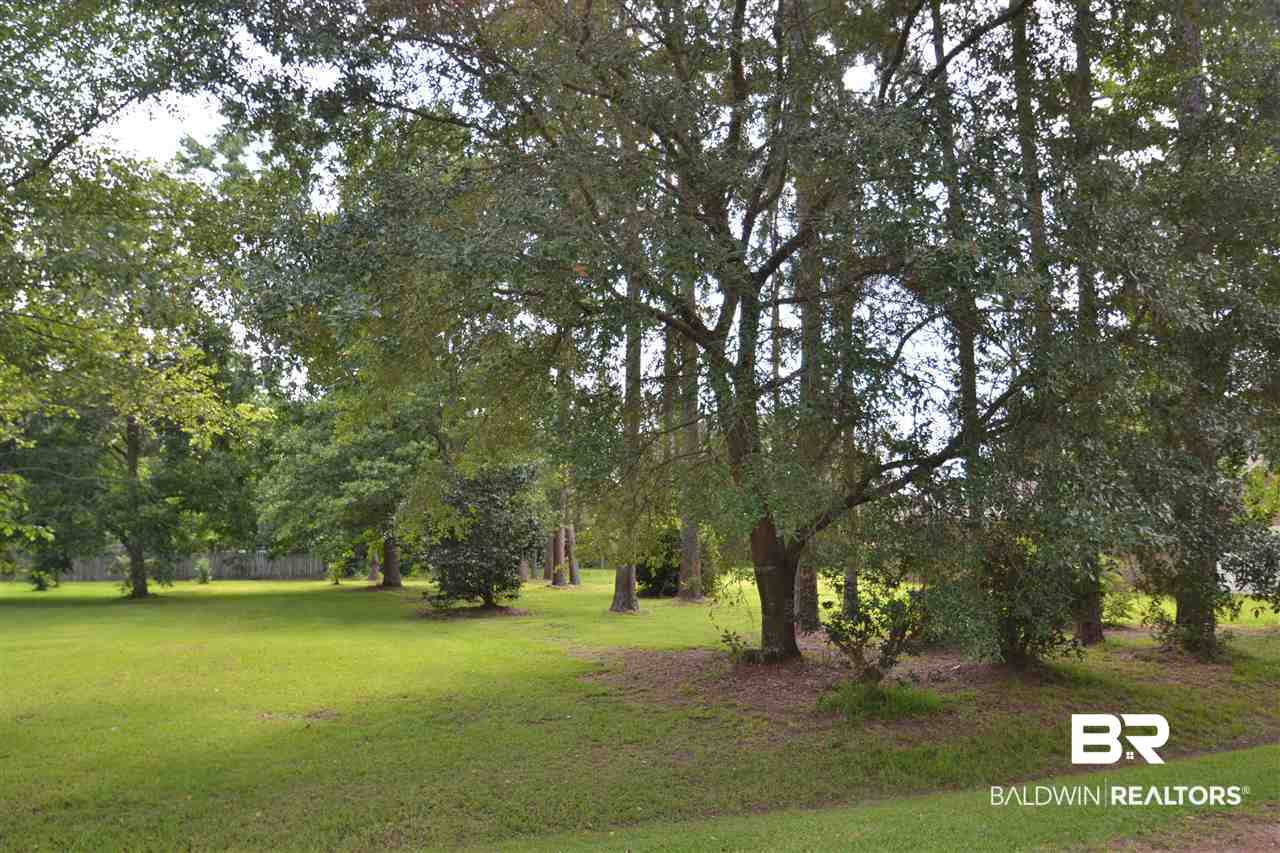 0 North Walnut Street Loxley, AL 36551 - Photo 1 of 6