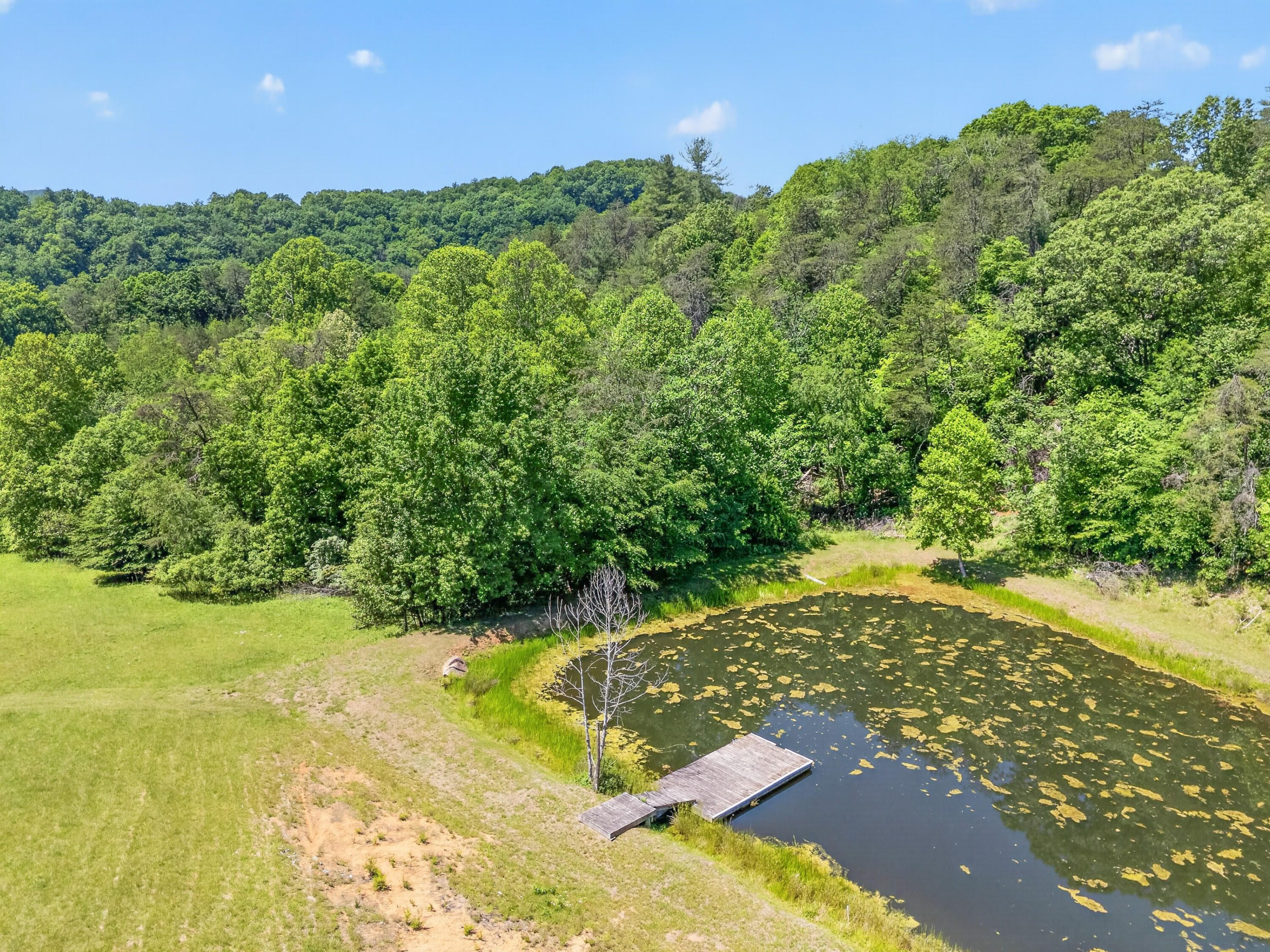 Lot 30 River Rock Road Vinton, VA 24179 - Photo 15 of 49 Vinton-20