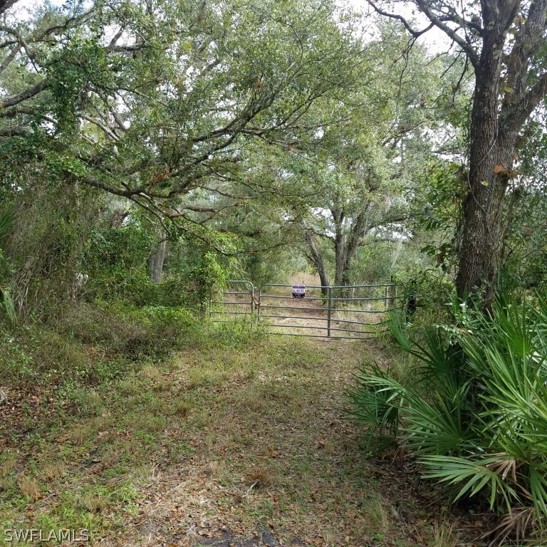 1121 Catamount Road LaBelle, FL 33935 - Photo 1 of 19 Gallery Image 1