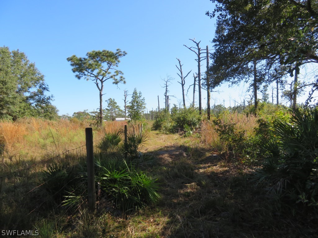 1121 Catamount Road LaBelle, FL 33935 - Photo 11 of 19 Gallery Image 11