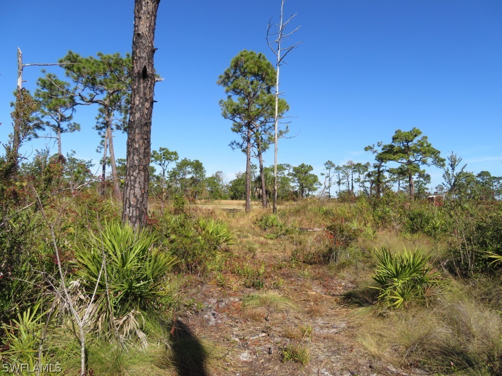 1121 Catamount Road LaBelle, FL 33935 - Photo 14 of 19 Gallery Image 14