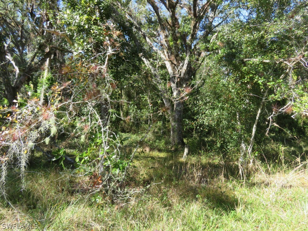 1121 Catamount Road LaBelle, FL 33935 - Photo 17 of 19 Gallery Image 17